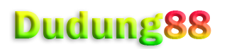 DUDUNG88